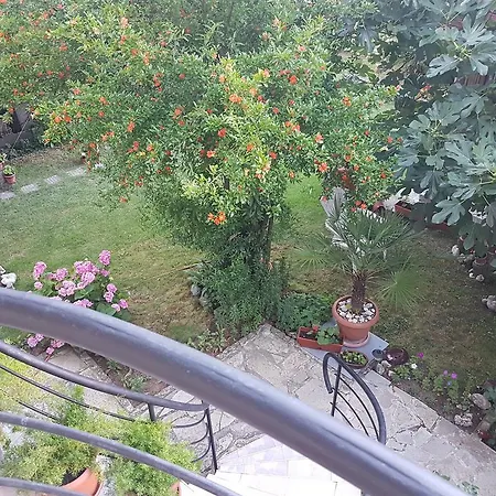Къща за гости Veselina 3*