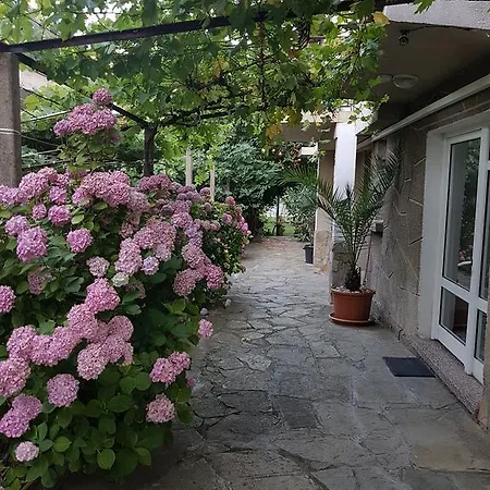 Pensjonat Veselina Primorsko